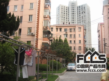 李子园